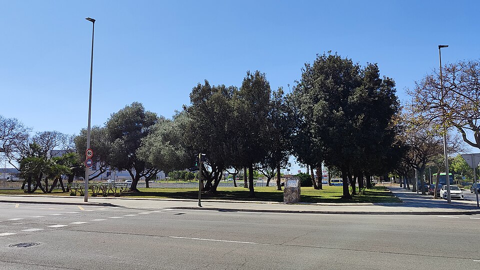 Sons que curen: els beneficis de la musica tradicional per a la salut